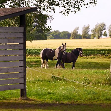 ホテル Hesselgaard Glamping Dalby エクステリア 写真