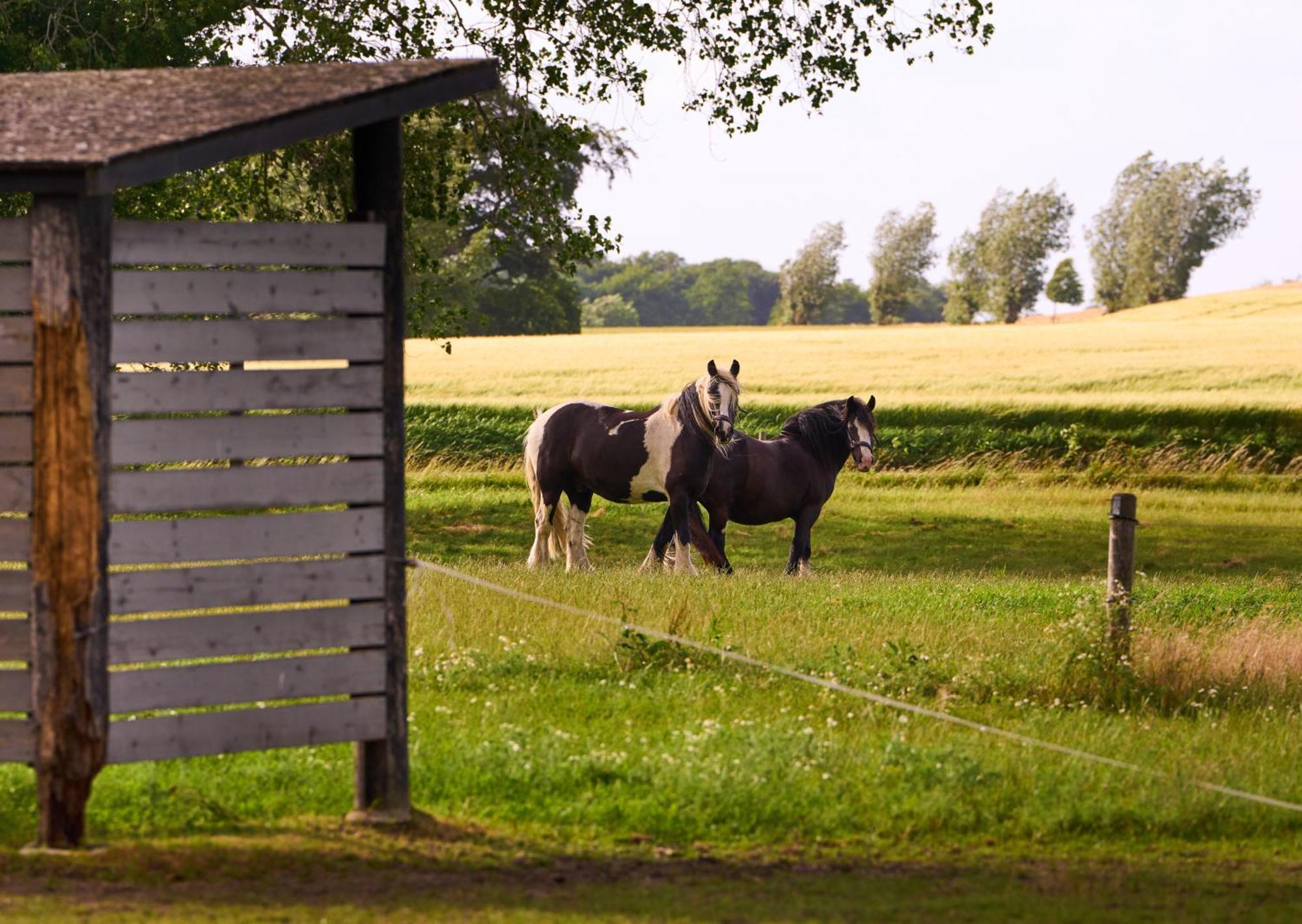 ホテル Hesselgaard Glamping Dalby エクステリア 写真