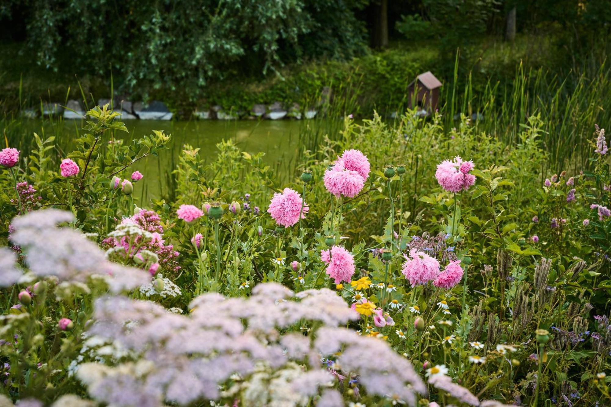 ホテル Hesselgaard Glamping Dalby エクステリア 写真